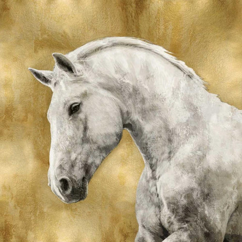 White Stallion on Gold White Modern Wood Framed Art Print with Double Matting by Rose, Martin