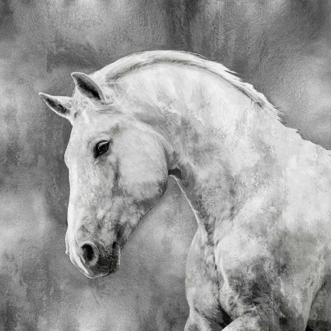 White Stallion on Silver White Modern Wood Framed Art Print with Double Matting by Rose, Martin