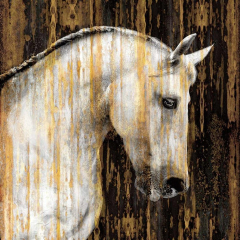 Horse II White Modern Wood Framed Art Print with Double Matting by Rose, Martin