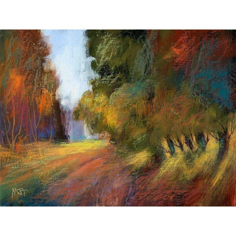 Afternoon Crest XIV Black Modern Wood Framed Art Print by Tienhaara, Michael