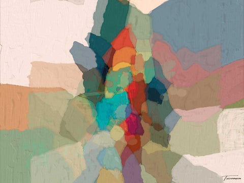 Cascade III Black Ornate Wood Framed Art Print with Double Matting by Tienhaara, Michael