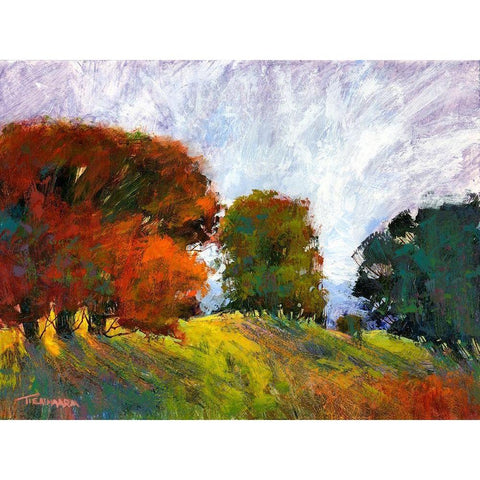 Aura Of Fall III Black Modern Wood Framed Art Print with Double Matting by Tienhaara, Michael