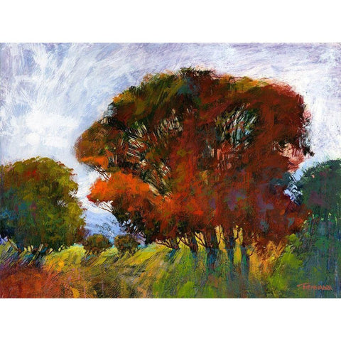 Aura Of Fall IV White Modern Wood Framed Art Print by Tienhaara, Michael