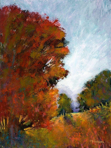 Falls Romance I Black Ornate Wood Framed Art Print with Double Matting by Tienhaara, Michael