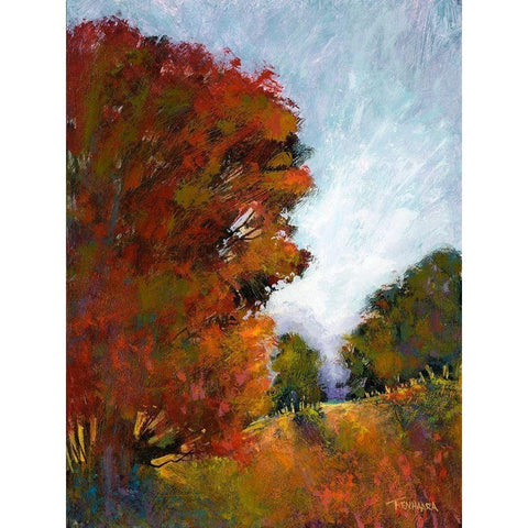 Falls Romance I White Modern Wood Framed Art Print by Tienhaara, Michael