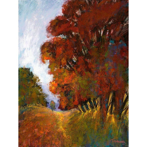 Falls Romance II Black Modern Wood Framed Art Print with Double Matting by Tienhaara, Michael