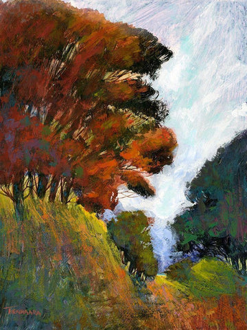 Falls Romance III White Modern Wood Framed Art Print with Double Matting by Tienhaara, Michael