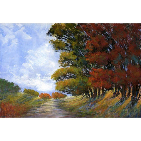 Golden Fall I Black Modern Wood Framed Art Print by Tienhaara, Michael