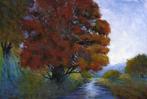 Summer Brook I Black Ornate Wood Framed Art Print with Double Matting by Tienhaara, Michael