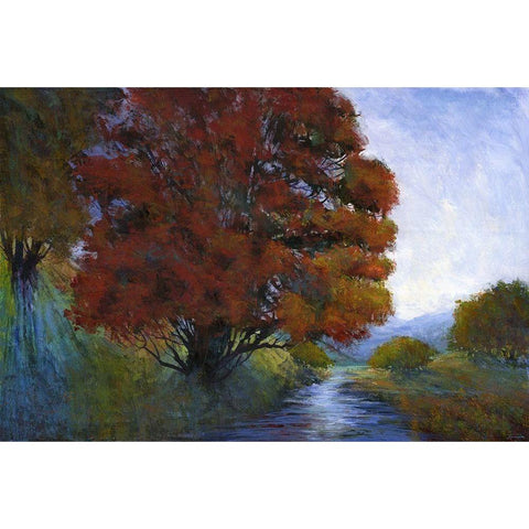 Summer Brook I White Modern Wood Framed Art Print by Tienhaara, Michael