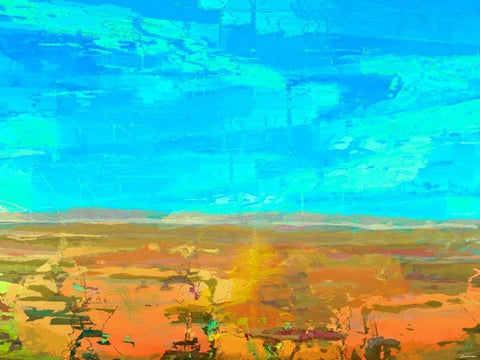 Mosaic Vista I Black Ornate Wood Framed Art Print with Double Matting by Tienhaara, Michael