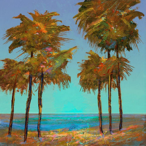 Seaside Sunset Black Modern Wood Framed Art Print by Tienhaara, Michael