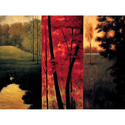 Point of View II White Modern Wood Framed Art Print by Thomas, Neil