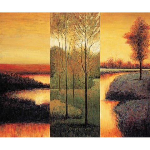 Vistas II White Modern Wood Framed Art Print by Thomas, Neil