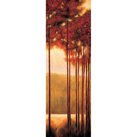 Through the Woods II Black Modern Wood Framed Art Print with Double Matting by Thomas, Neil