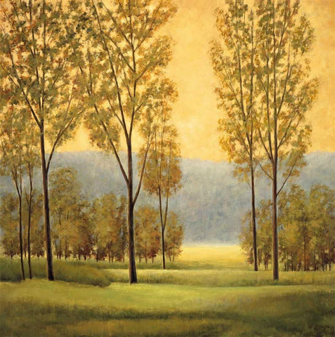 Misty Morning I White Modern Wood Framed Art Print with Double Matting by Thomas, Neil