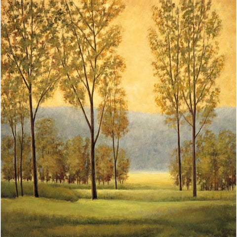 Misty Morning I White Modern Wood Framed Art Print by Thomas, Neil