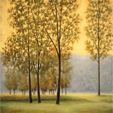 Misty Morning II Black Modern Wood Framed Art Print with Double Matting by Thomas, Neil