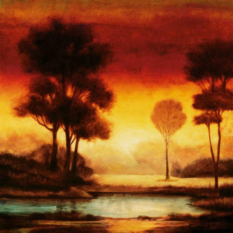 Evening Light I Black Modern Wood Framed Art Print with Double Matting by Thomas, Neil