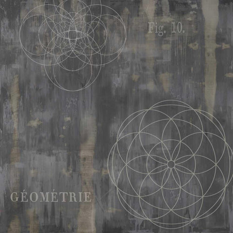 Geometrie IV Black Ornate Wood Framed Art Print with Double Matting by Jeffries, Oliver