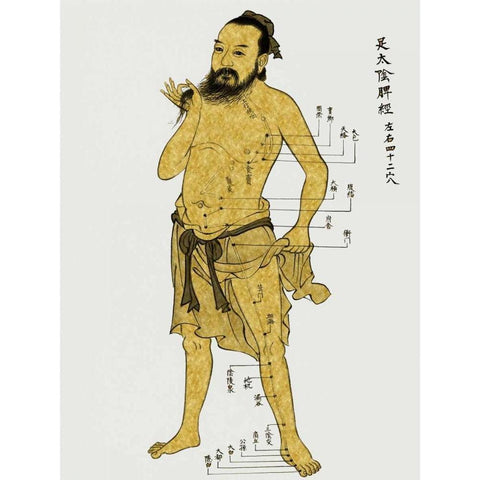 Vintage Acupunture Black Modern Wood Framed Art Print with Double Matting by Jeffries, Oliver