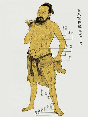 Vintage Acupunture Black Ornate Wood Framed Art Print with Double Matting by Jeffries, Oliver