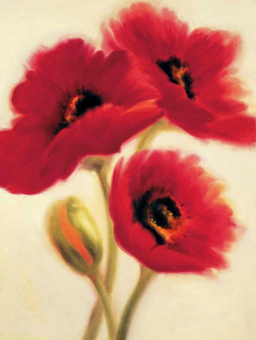 Red Poppies White Modern Wood Framed Art Print with Double Matting by Benson, Paula