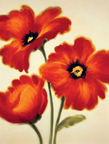 Orange Poppies White Modern Wood Framed Art Print with Double Matting by Benson, Paula