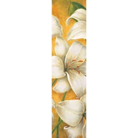 Concert de lys II White Modern Wood Framed Art Print by Viollet, Pierre