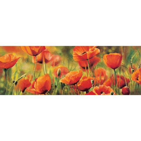 Symphonie de coquelicots Black Modern Wood Framed Art Print by Viollet, Pierre