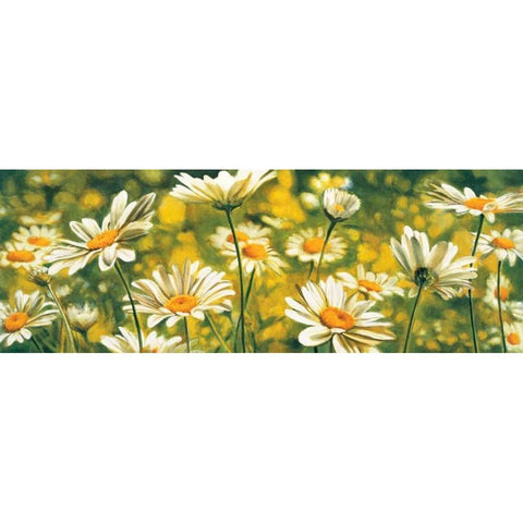 Mlodie de marguerites White Modern Wood Framed Art Print by Viollet, Pierre