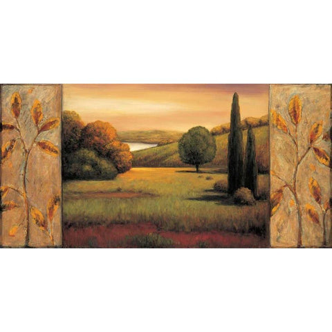 Sunlit Black Modern Wood Framed Art Print with Double Matting by Sullivan, Rachael