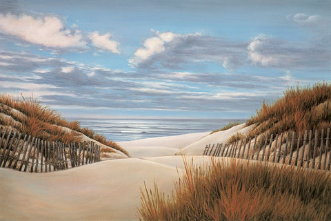 To the Shore II White Modern Wood Framed Art Print with Double Matting by Dunahay, Richard