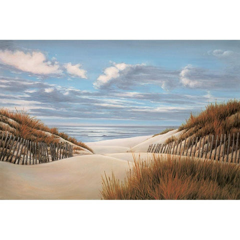 To the Shore II Black Modern Wood Framed Art Print by Dunahay, Richard