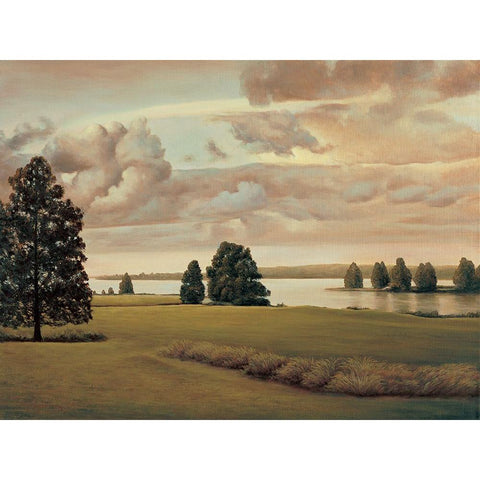 Lakeside I Black Modern Wood Framed Art Print by Dunahay, Richard