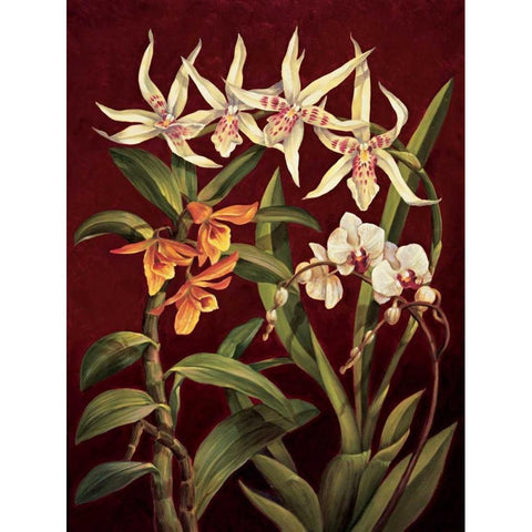 Orchid Trio I Gold Ornate Wood Framed Art Print with Double Matting by Jimenez, Rodolfo