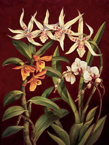 Orchid Trio I Black Ornate Wood Framed Art Print with Double Matting by Jimenez, Rodolfo