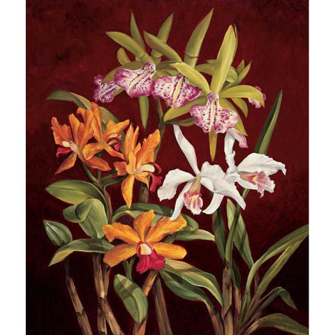 Orchid Trio II Black Modern Wood Framed Art Print with Double Matting by Jimenez, Rodolfo