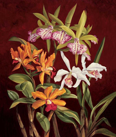 Orchid Trio II White Modern Wood Framed Art Print with Double Matting by Jimenez, Rodolfo