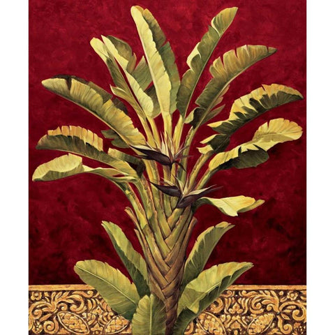 Travelers Palm White Modern Wood Framed Art Print by Jimenez, Rodolfo