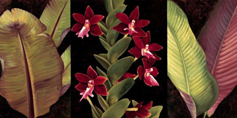 Red Orchids and Palm Leaves White Modern Wood Framed Art Print with Double Matting by Jimenez, Rodolfo