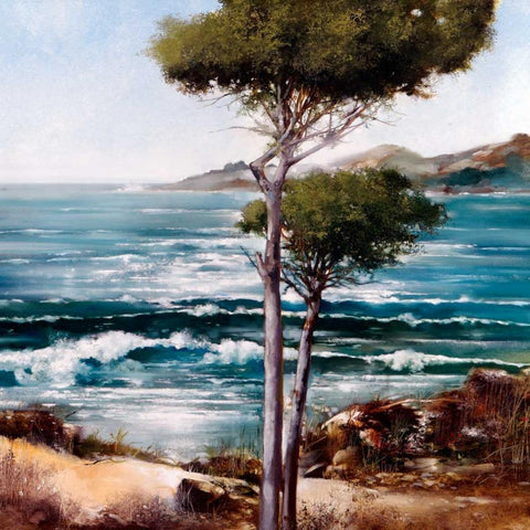 California Breeze White Modern Wood Framed Art Print by Di Scenza, Ron