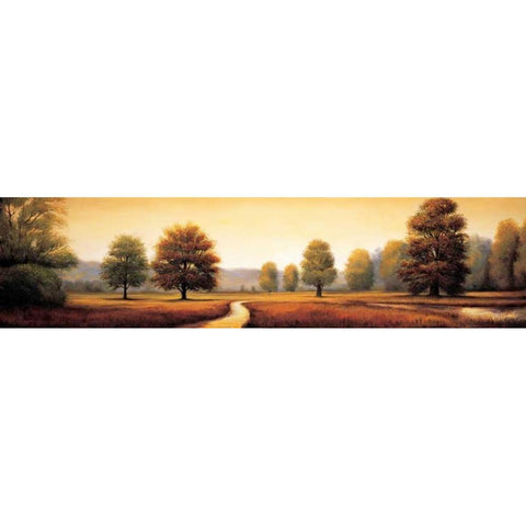 Landscape Panorama I Black Modern Wood Framed Art Print by Franklin, Ryan