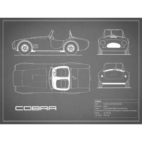 Cobra-Grey Black Modern Wood Framed Art Print with Double Matting by Rogan, Mark