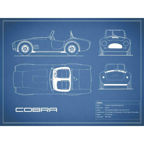 Cobra-Blue White Modern Wood Framed Art Print by Rogan, Mark