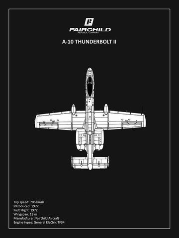 BP A-10 Thunderbolt 2 Black  Black Ornate Wood Framed Art Print with Double Matting by Rogan, Mark