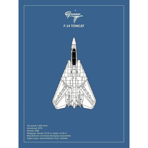 BP F-14-Tomcat  Black Modern Wood Framed Art Print with Double Matting by Rogan, Mark