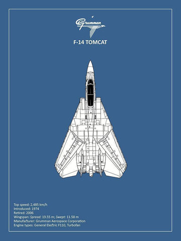 BP F-14-Tomcat  White Modern Wood Framed Art Print with Double Matting by Rogan, Mark