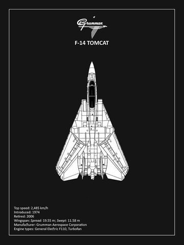 BP F-14-Tomcat Black  White Modern Wood Framed Art Print with Double Matting by Rogan, Mark