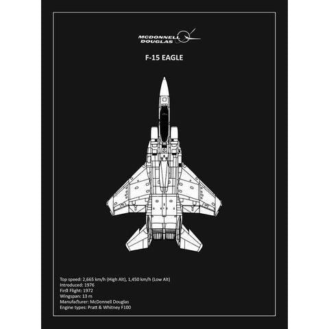 BP F15 Eagle Black  White Modern Wood Framed Art Print by Rogan, Mark